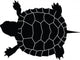 Black Turtle Silhouette Wall Decal