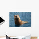 Nosy Otter Wall Decal