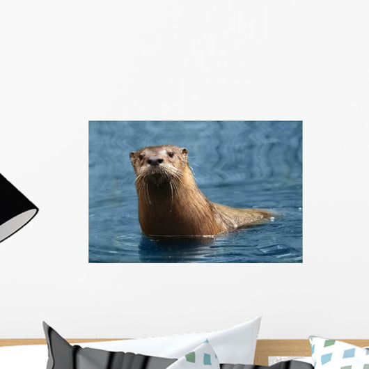 Nosy Otter Wall Decal