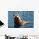 Nosy Otter Wall Decal