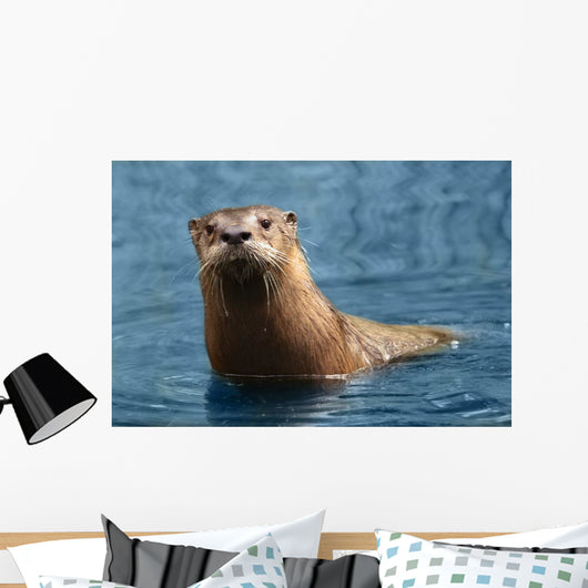 Nosy Otter Wall Decal