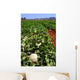 Farm Fields Wall Decal Design 3