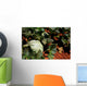 Melon Farm Field Wall Decal Design 2