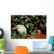 Melon Farm Field Wall Decal Design 2