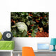 Melon Farm Field Wall Decal Design 2