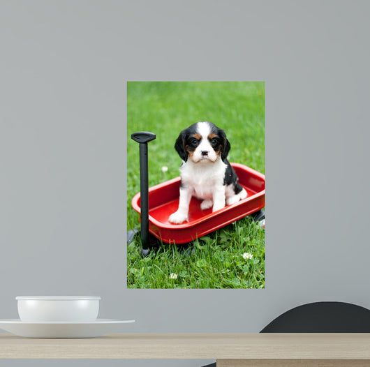 Cavalier King Charles Puppy Wall Decal