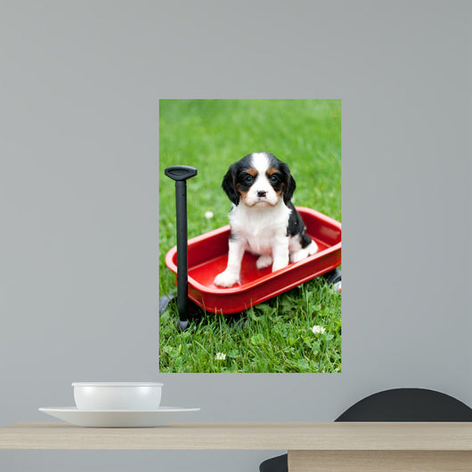 Cavalier King Charles Puppy Wall Decal