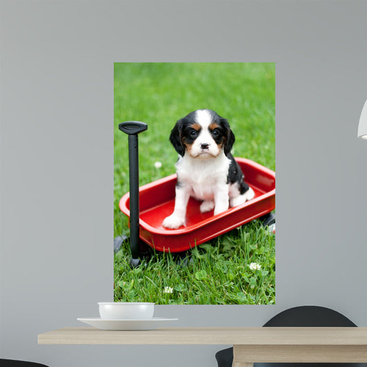 Cavalier King Charles Puppy Wall Decal