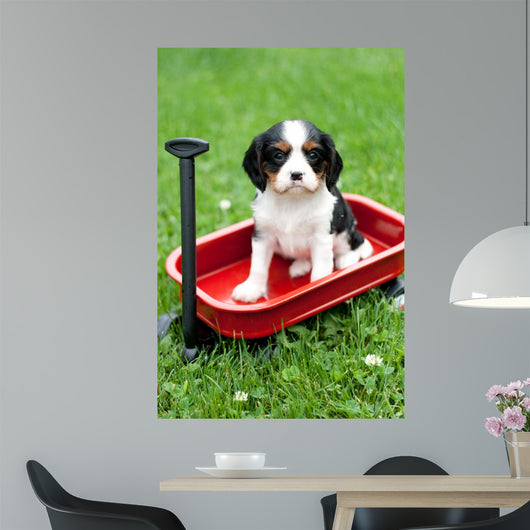 Cavalier King Charles Puppy Wall Decal