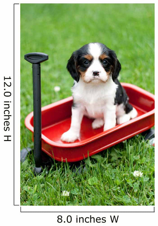 Cavalier King Charles Puppy Wall Decal