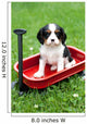 Cavalier King Charles Puppy Wall Decal