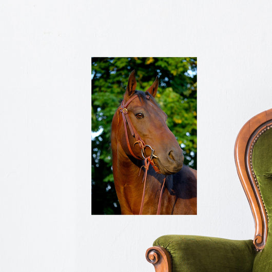 Portrait Quart Er Mare Wall Decal