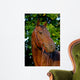 Portrait Quart Er Mare Wall Decal