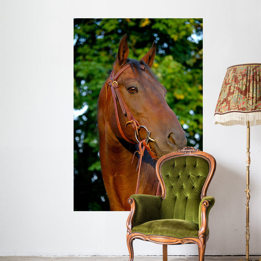 Portrait Quart Er Mare Wall Decal