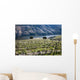 Vignoble Dans Le Douro Wall Decal