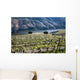 Vignoble Dans Le Douro Wall Decal