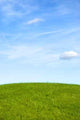 Grass Blue Sky 1 Wall Decal