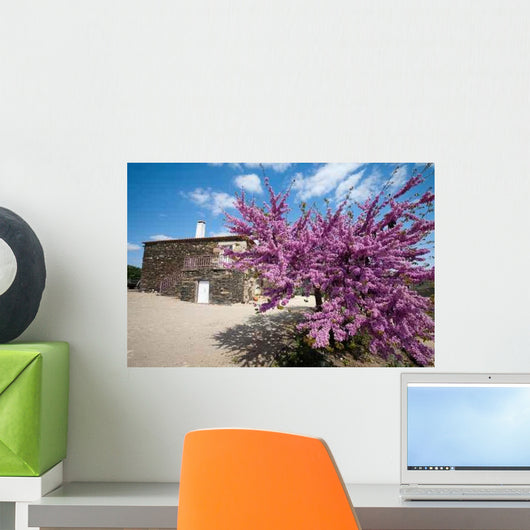 Ferme Dans Le Douro Wall Decal