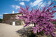 Ferme Dans Le Douro Wall Decal