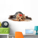 Show Class Yorkshire Terrier Wall Decal