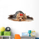 Show Class Yorkshire Terrier Wall Decal
