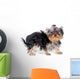 Soaking Wet Yorkshire Terrier Wall Decal
