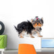 Soaking Wet Yorkshire Terrier Wall Decal