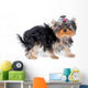 Soaking Wet Yorkshire Terrier Wall Decal