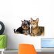 Puppy and Cat Studio Wall Decal Design 2