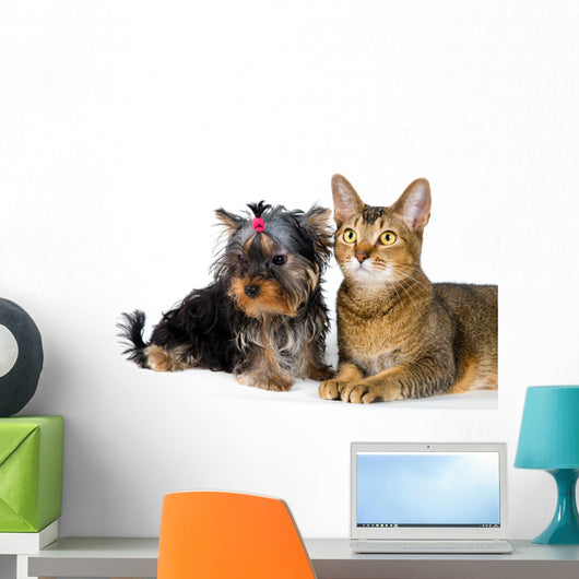 Puppy and Cat Studio Wall Decal Design 2
