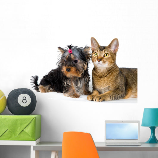 Puppy and Cat Studio Wall Decal Design 2