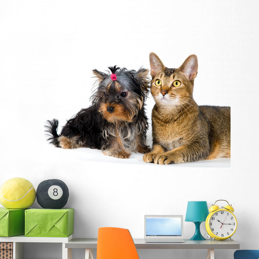 Puppy and Cat Studio Wall Decal Design 2