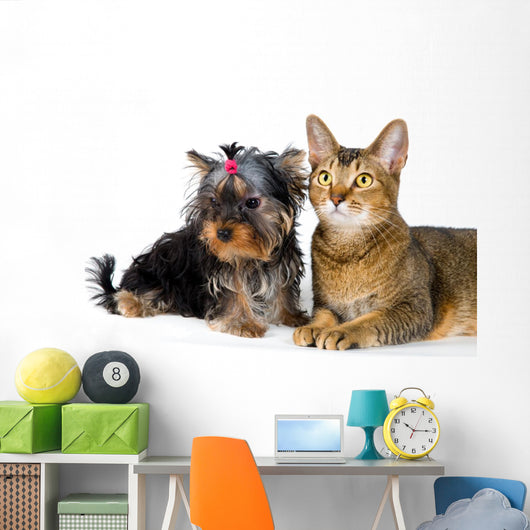 Puppy and Cat Studio Wall Decal Design 2