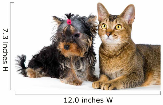 Puppy and Cat Studio Wall Decal Design 2