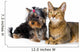 Puppy and Cat Studio Wall Decal Design 2