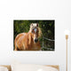 Haflinger Wall Decal
