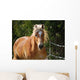 Haflinger Wall Decal