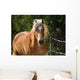 Haflinger Wall Decal