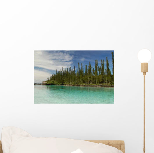 Natural Pool Ile Des Wall Decal