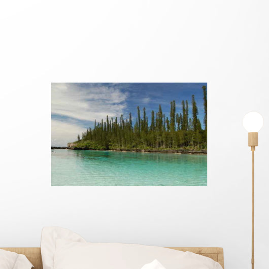 Natural Pool Ile Des Wall Decal