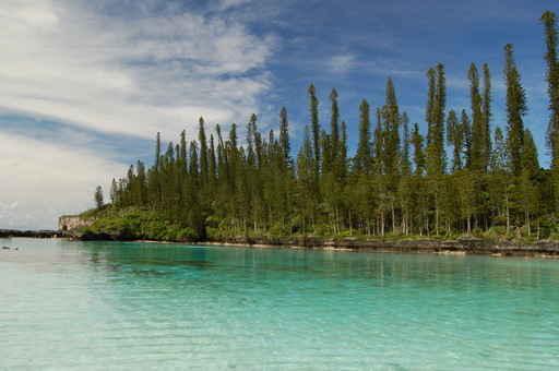 Natural Pool Ile Des Wall Decal