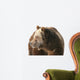 Grizzly Bear Looking into Wall Decal
