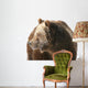 Grizzly Bear Looking into Wall Decal