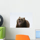 Grizzly Bear Growling Wall Decal