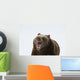 Grizzly Bear Growling Wall Decal