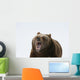 Grizzly Bear Growling Wall Decal