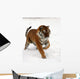 Running Siberian Tiger Wall Decal