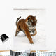 Running Siberian Tiger Wall Decal