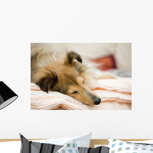Sheltie Wall Decal