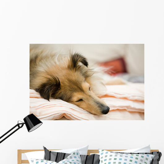 Sheltie Wall Decal